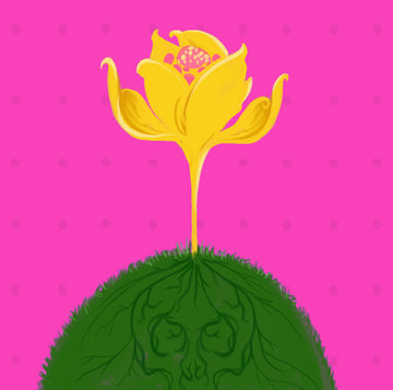 Image for Pourquoi votre huile essentielle ne l’est pas