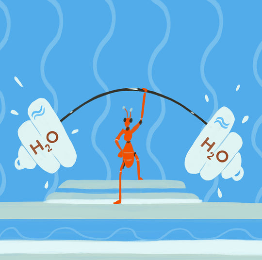 Image for Tout savoir sur l&rsquo;acide hyaluronique