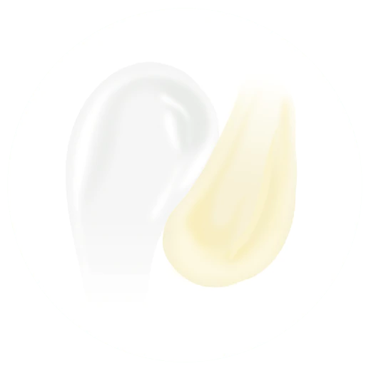 Illustration montrant les différences de couleur de Shaba, plus blanc, et de C-Tango qui présente une couleur plus chaude et plus jaune